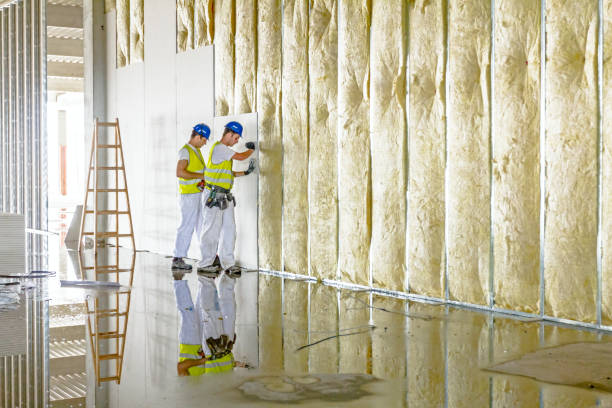 Best Wall Insulation Contractor  in Bethlehem, WV